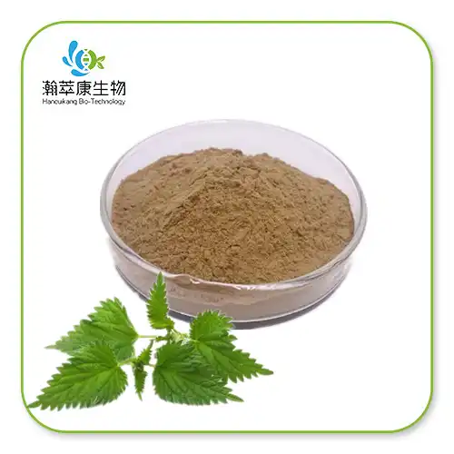 Nettle Root Extract Powder